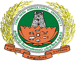 Agricultural College and Research Institute - [ACRI] (Thoothukudi)