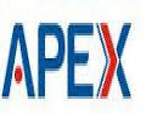 Apex International College