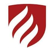 D Y Patil Polytechnic - [DYPP]