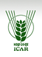 Directorate of Research on Women in Agriculture - [ICAR] (Bhubaneswar)