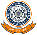 Dr. YSR Architecture and Fine Arts University - Kadapa