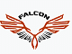 Falcon Institute of Aircraft Maintenance Engineers - [FIAME]