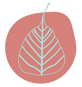 Indian Institute of Design - [IID]