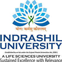 Indrashil University Rajpur - Kadi