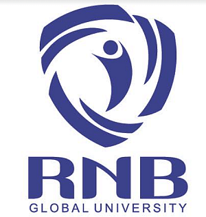 RNB Global University - [RNBGU] - Bikaner